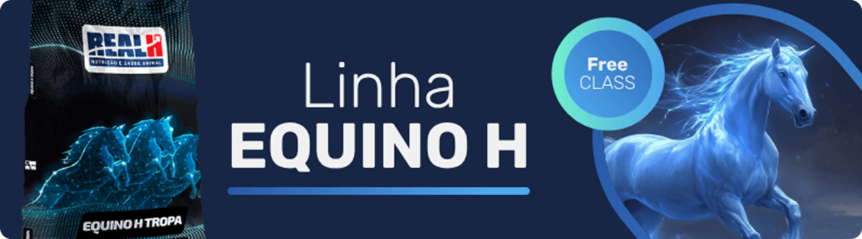 Linha Equino H