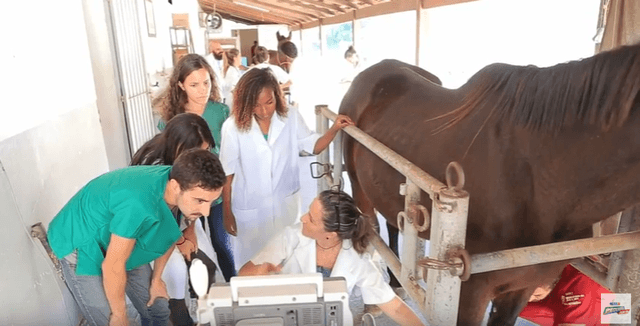 Hospital Veterinário da UFRRJ obtém sucesso na cicatrização de ferida com ajuda da Homeopatia