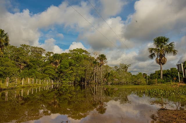 Entenda o Ciclo das Águas no Pantanal