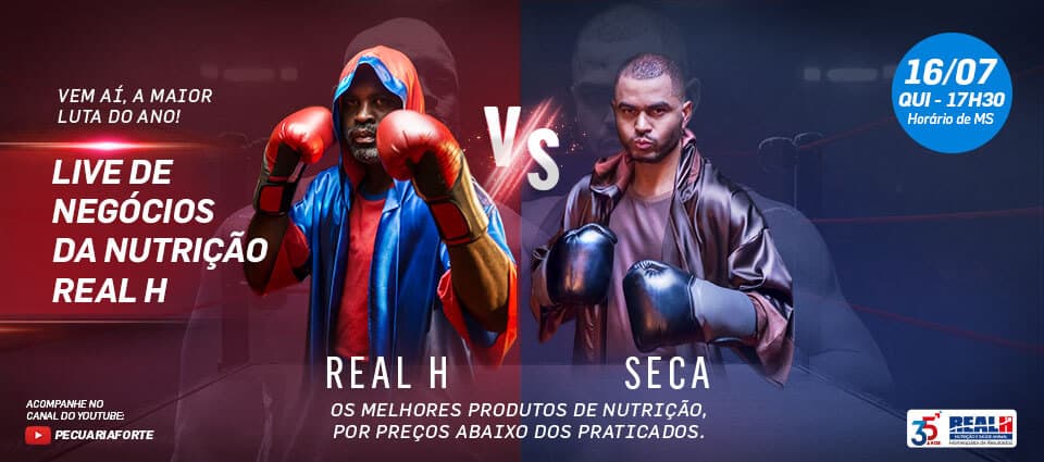 LIVE: A Grande Oportunidade!