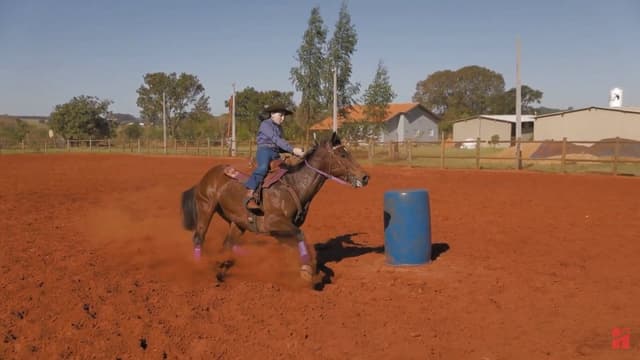 VÍDEO: Mãe e Filha Unidas Pela Paixão Aos Esportes Equestres