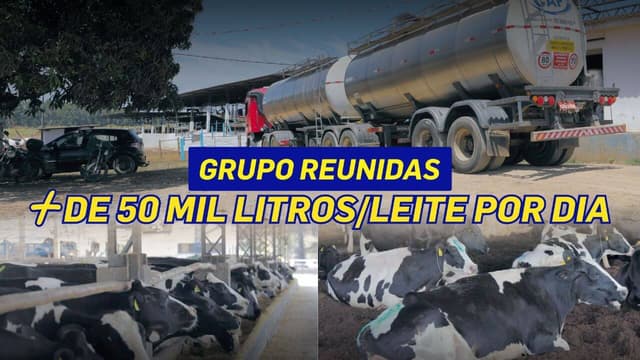 Fazendas Reunidas ACP Filhos e Netos Foi Tema Do Pecuária Forte de Sábado