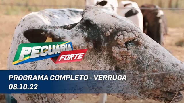 Pecuária Forte Destaca O Controle Das Verrugas No Gado