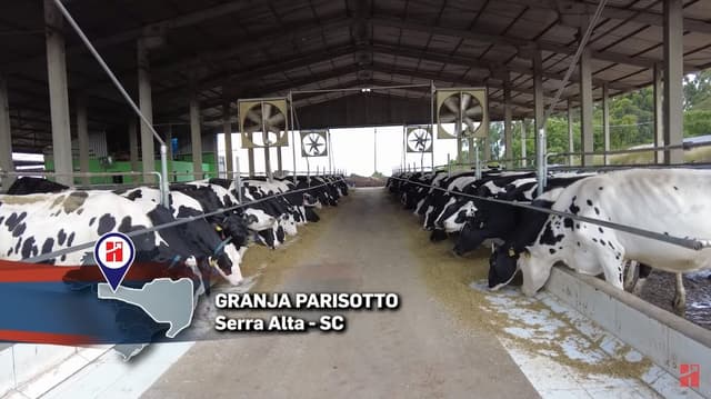 Granja Parisotto Baixou a CCS de Mais de 500 Mil Para Menos de 180 mil