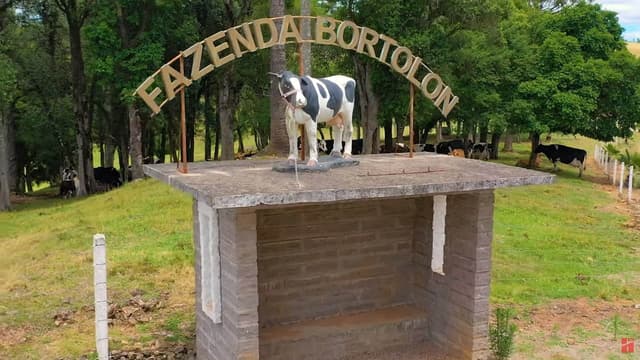 Melhorou A Produção De Leite E Os Índices Reprodutivos Na Fazenda Bortolon