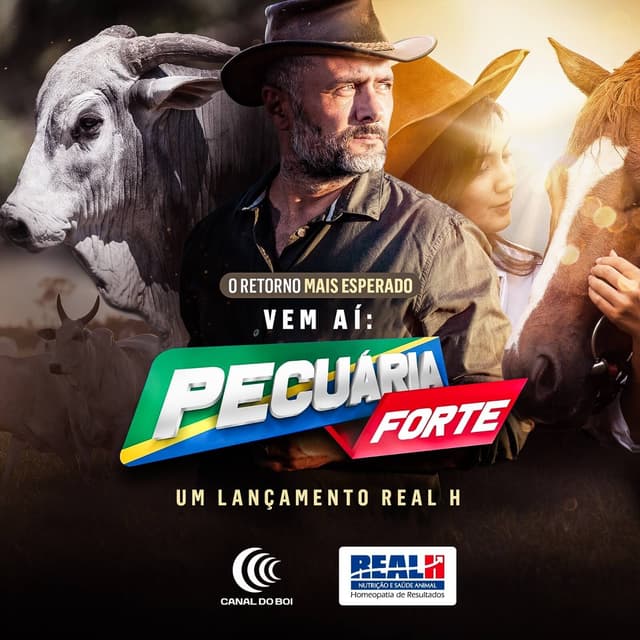Novo Pecuária Forte levará muita informação e tecnologia via Canal do Boi