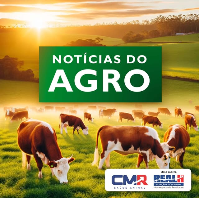 Notícias do Agro | 31 de Janeiro de 2024