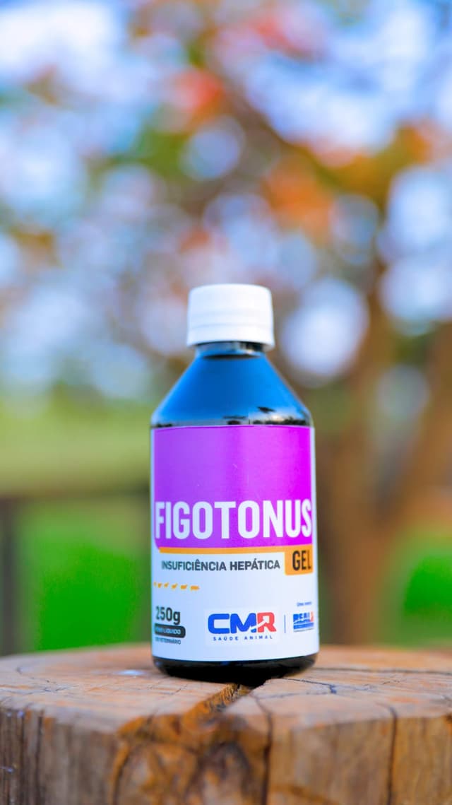 Figotonus Gel: Revolução no Tratamento e Prevenção da Cetose em Vacas Leiteiras
