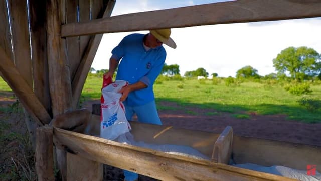 Pecuarista Troca Carreira no Direito por Sucesso no Agronegócio com Inovação em Nutrição Animal