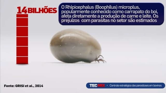 CMR destaca controle parasitário em live
