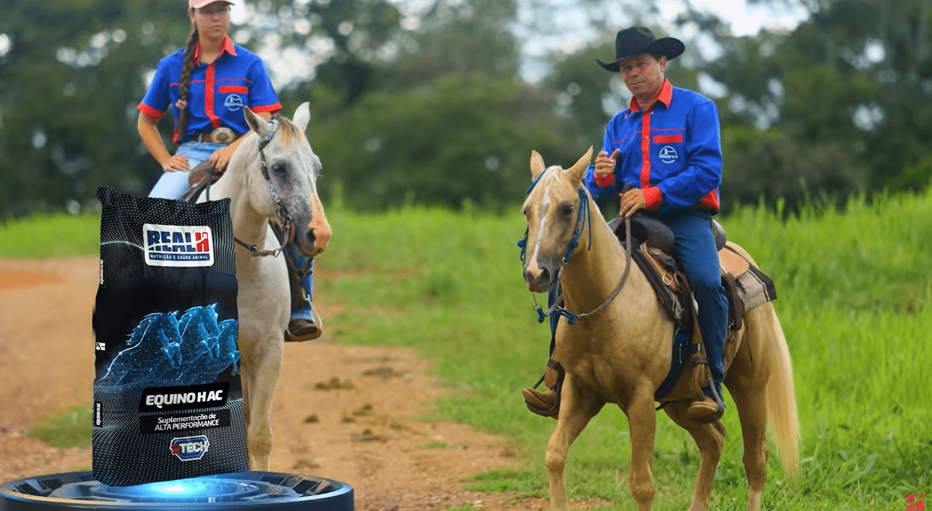 Cavalos saudáveis em manejo a pasto demonstrando saúde do cavalo no campo.